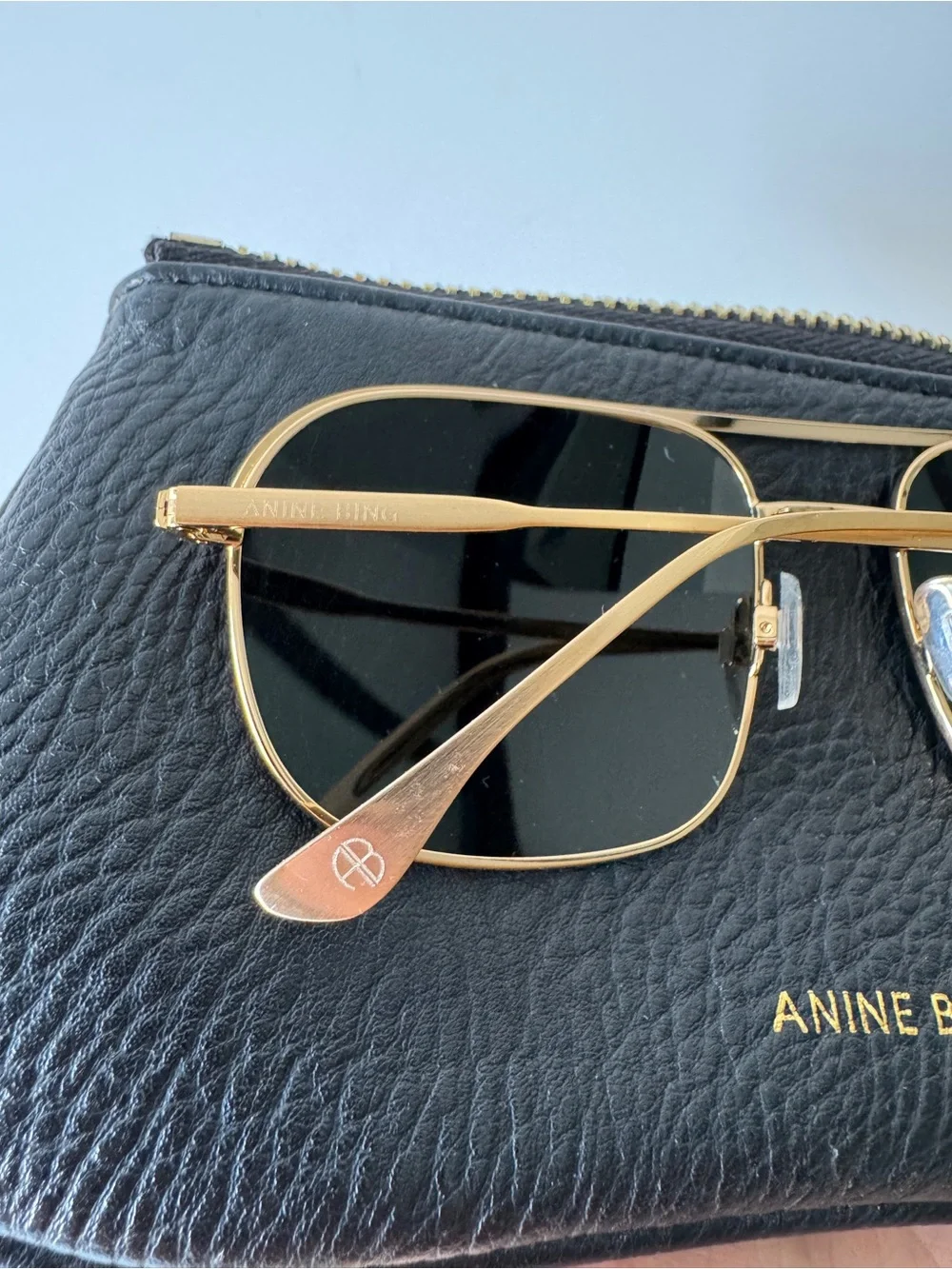Anine Bing comes case